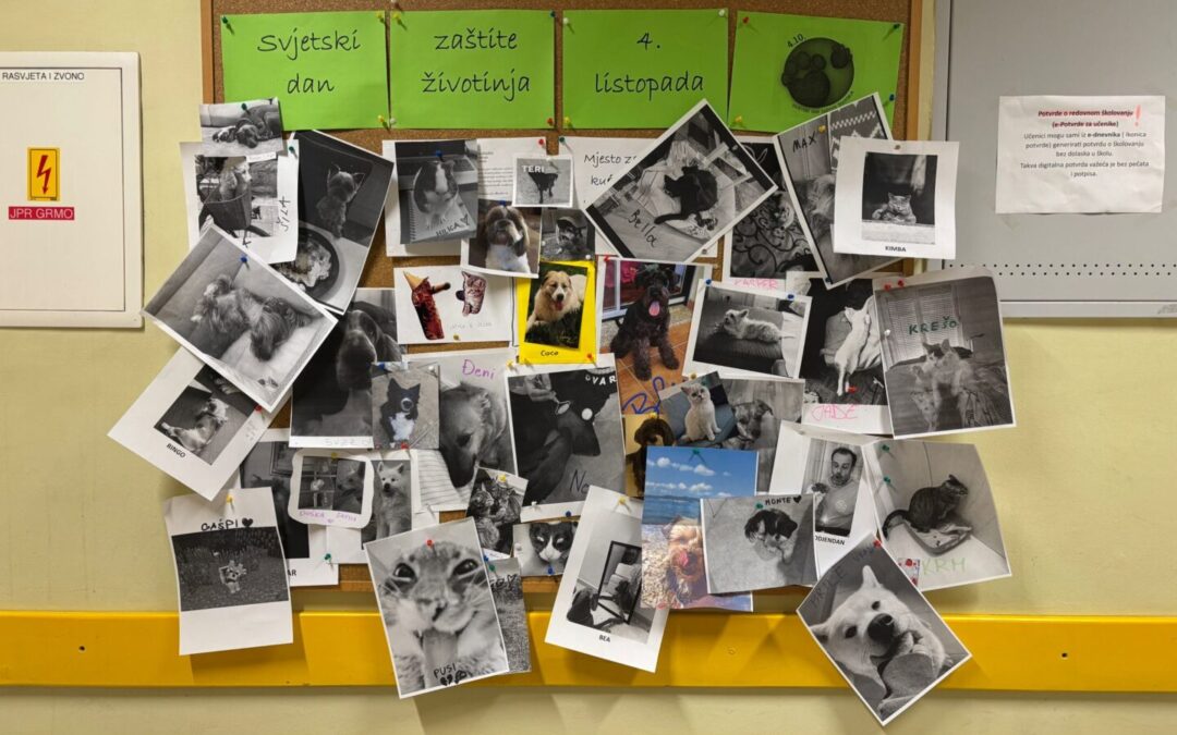 Svjetski dan zaštite životinja
